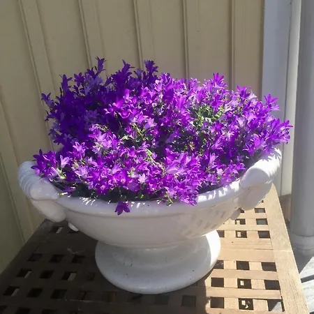 Rhodo Bed & Breakfast