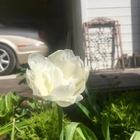 Rhodo Bed & Breakfast